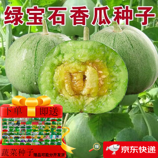 Emerald melon seeds thin-skinned super sweet cantaloupe seeds spring green-skinned four-season crisp melon early-maturing cantaloupe seeds original 1 pack of about 60 capsules