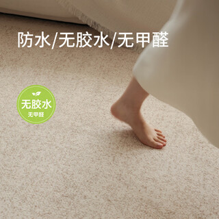 Saibos genuine dune solid color waterproof glue-free carpet formaldehyde-free high-end light luxury style living room coffee table mat 1.9x3m