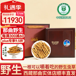Dongzi authentic tibetan nagqu pure wild cordyceps high altitude cordyceps gift box broken grass for elderly gifts tonic nagqu wild pure meat festival broken grass - economical and affordable 50g