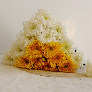 White chrysanthemum and yellow chrysanthemum flowers grown in water, indoor vase chrysanthemums for home sacrifices and festivals, qingming flowers, jiangsu base straight delivery, white 10+yellow 10, free 2 sets of packaging