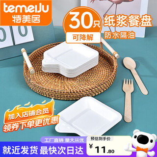 Temeiju disposable paper plate cake plate outdoor picnic camping plate sugarcane pulp plate waterproof, oil-proof, environmentally friendly and biodegradable white square 4 inches 11.3cm 30 pieces