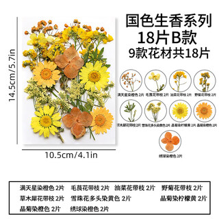 Pupan natural glue dried flower embossed diy material package plant specimen children's bookmark face decoration real flower national color and fragrance series b