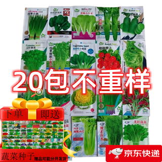 20 non-repeating four-season vegetable seeds, onion seeds, vegetable seeds, mixed vegetable seeds, 20 packs of non-repeating high-quality seeds, factory direct sales, original high-quality seeds, high germination rate, xindianchong