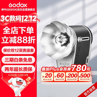 Godox luxcadet retro flash slr camera suitable for canon, nikon, sony and fuji universal outdoor portable 4th generation hot shoe light official standard