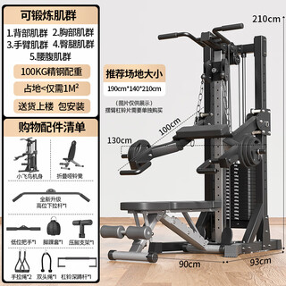 _fitness home equipment unilateral flying bird gantry painting rowing machine multi-functional dumbbell equipment package installation classic model + 100kg stainless steel counterweight +