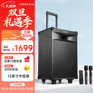 Edifier (edifier) pw312 12-inch stage outdoor mobile speaker high-fidelity square dance ktv camping electric acoustic guitar folk instrument speaker