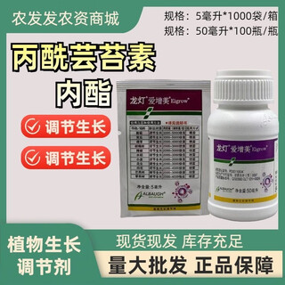 Longdeng aizumi propionyl brassinolide cucumber grape wheat promotes cell growth and division growth regulator 5ml 10 pack