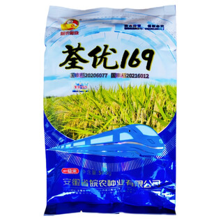 Wannong quanyou 169 hybrid rice seed, first-class rice, early maturity, high yield, short stem and large grain, nationally approved tsuenyin hi-tech brand new seed, 1 bag of 500g 2025 new seed