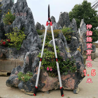 Extended telescopic hedge shears to prune branches, garden fruit tree scissors, pruning shears, gardening shears, length 1.5 meters, extended hedge shears