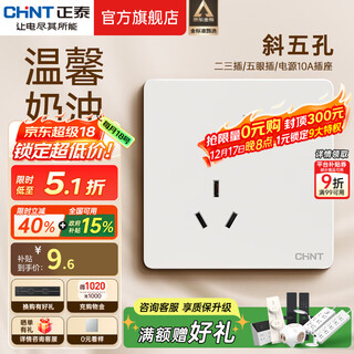 Chint (chnt) switch socket 6ce matte frosted large plate cream style household 86 type wall power socket panel rhombus white oblique five holes 10a
