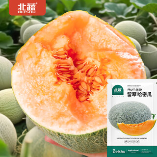 Beishu melon seeds emerald rock sugar seeds croissant honey white sand honey spring cantaloupe seeds beishu liucui hami melon seeds 100 capsules 2 bags