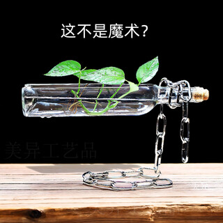 Beautiful and creative decorations, new house decorations, entrance decorations, art wine cabinet, living room, tv, office, magnetic levitation, anti-gravity, transparent wine bottle + silver chain + ice cube fruit