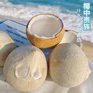 Interesting taste of vietnam imported coconut fragrance royal coconut 4 pack single fruit 500+ fresh fruits sent straight from the source with straws