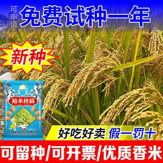 Conventional rice seeds, high yield, high temperature resistance, resistance to lodging and disease, original silk seedlings, long grain authentic fragrant rice, yuhe silk seedlings/national approved conventional rice seeds/seeds can be saved/original packaging 6jin jin is equal to 0.5kg, delicious and easy to sell/guaranteed 85% germination rate/can be invoiced