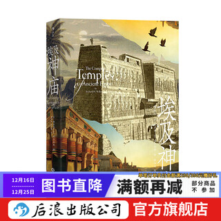 Official flag egyptian temple ancient egyptian religion culture mythology art history humanities architectural art book houlang genuine