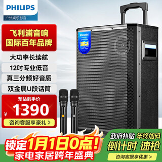 Philips (philips) 12-inch square dance audio outdoor stage high-power mobile portable trolley speaker wireless bluetooth high-volume karaoke amplification with dual microphones sd170max