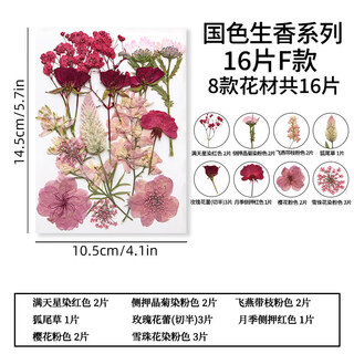 Pupan natural glue dried flower embossed diy material package plant specimen children's bookmark face decoration real flower national color fragrance series f