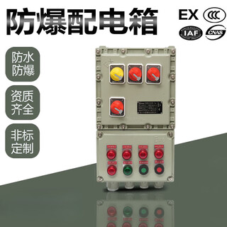 Explosion-proof distribution box control cabinet positive pressure cabinet junction box power lighting terminal switch box custom carbon steel stainless steel stainless steel