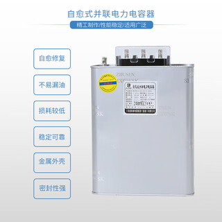 Shanghai viscon bsmj0.45 three-phase self-healing low-voltage parallel power capacitor compensation cabinet special spot bsmj0.45-60-3(sh)
