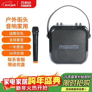 Malata audio outdoor street audio home electric acoustic guitar bass folk singing instrument bluetooth speaker microphone square dance speaker m+9403 free usb drive