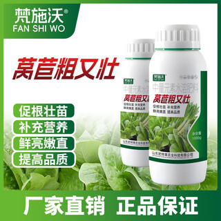 Fanshiwo lettuce is thick and strong. lettuce is thickened, elongated, tender, straight, strong and bright. special water-soluble fertilizer for preventing hollow cracked fruits and high yield. 500g 1 bottle. lettuce is thick and strong.