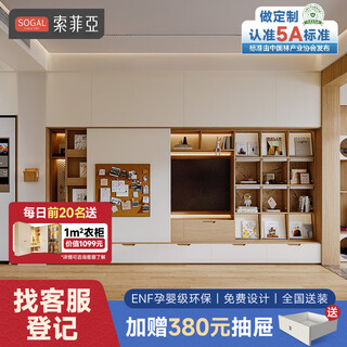 Sophia wardrobe whole house customized cabinet package furniture bedroom home wardrobe bedroom cabinet storage tv cabinet customized gold