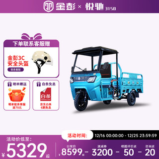 Jinpeng electric tricycle with canopy, load-carrying battery car, semi-enclosed truck, household agricultural motorcycle, yuechi 3 1.6-meter carriage 1200w naked car (no battery or charger)