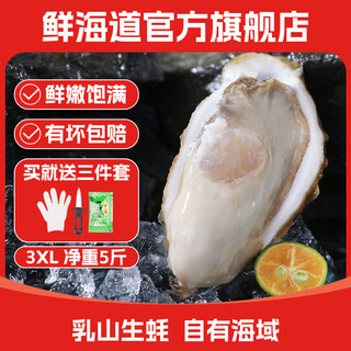 Fresh seaway fresh rushan oysters 3xl net weight 5jin jin is equal to 0.5kg 13-17 pcs fresh seafood and shellfish straight from the source