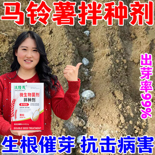 Wolongmao potato special seed dressing agent, potato rooting agent to promote rooting and splitting, potato seed dressing agent, coating agent, potato high yield seed dressing agent, 5 bags, 99% selection