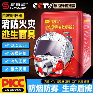 Fire mask, anti-smoke, anti-virus, fire mask, hotel 3c certified household fire escape mask respirator, new national standard, 2 adult models