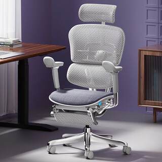 Ergonor jinhao e2 pro flagship ergonomic chair office chair computer chair silver cloud-like seat cushion + lying comfort