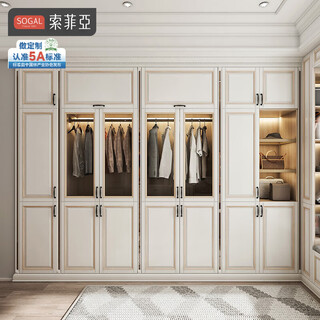 Sophia wardrobe customized for the whole house european bedroom furniture open large cloakroom simple european style flat door integrated wardrobe customized gold