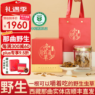 Dongzi authentic tibetan nagqu pure wild cordyceps high altitude cordyceps gift box broken grass for elderly gifts tonic nagqu wild large broken grass-family tonic 10g