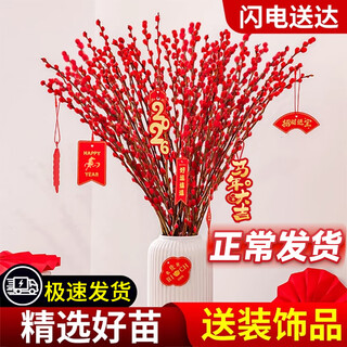 Hua weng real flowers fresh branches and dried flowers indoor living room new year's eve flowers 60cm silver willow/festival red 30 count + pendant source straight hair