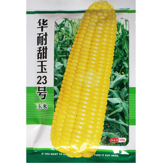 Ван Юаньсин Супер сладкие восковые фрукты Семена кукурузы Каменный сахар Молоко Весна и лето Четыре сезона Красочные овощи Раннеспелые семена белой кукурузы huanai 23 Фруктовая кукуруза 100 г Весенний посев Супер сладкая кукуруза
