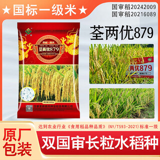 Dao yufeng Сельское хозяйство Двойное национальное одобрение Тип длиннозерного риса Национальный стандарт Первоклассный рис tsuian liangyou 879 Рисовые семена Оригинальная заводская упаковка Рисовые семена tsuian liangyou 879 Рисовые семена 500 г/4 пакета (Бесплатный подарочный набор для риса x1)