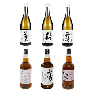 Fantasy model room hotel wine cabinet foreign wine fake wine bottle props ornaments foreign wine sake bottle props 6 bottles japanese set imitation wine containing liquid