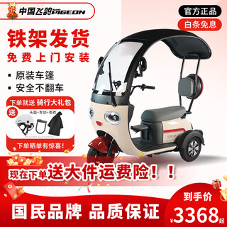 Flying pigeon electric tricycle, small household scooter for women to pick up and drop off children, new electric tricycle with built-in canopy, 600w 48v23a black gold + 80 miles of battery life