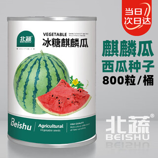Beishu watermelon seed seedlings kirin 8424 sweet crisp potted watermelon seeds rock sugar kirin melon seeds about 800 barrels