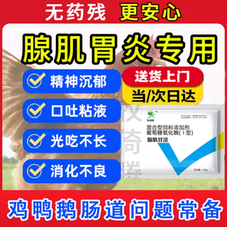 Adenomuscular stomach clearing chicken medicine for gastritis, veterinary feed additive for chickens, ducks and geese, special effect for weight loss and indigestion, 1 bag, upgraded glucose oxidase type, adenomyotic stomach clearing, chicken, duck and goose intestinal problems