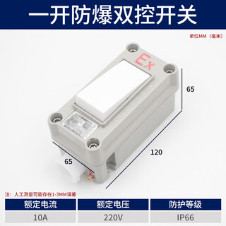 Explosion-proof wall switch 220v explosion-proof lighting switch type 86 surface-mounted single-opening double-opening factory fuse circuit breaker explosion-proof wall switch (national standard model) one open
