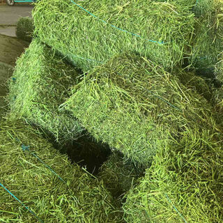 Alfalfa hay for cattle, sheep and horses, sheep grass, alpaca large zoo feed, alfalfa 100kg
