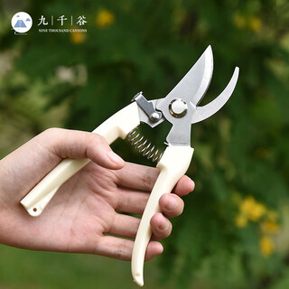 Cow centenary gardening scissors pruning scissors gardening tools floral fruit tree pruning scissors pruning branches gardening pruning scissors beige