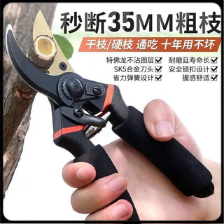 Fengxi gardening shears stainless steel labor-saving pruning fruit tree thick branches special scissors material sk5 province main picture style