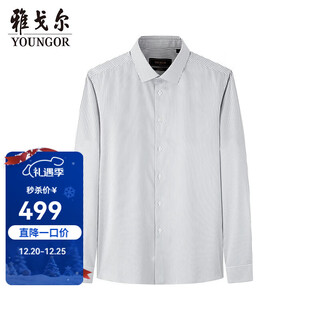 Youngor (youngor) shirt tp no-iron men's autumn and winter young men's long-sleeved shirt plain shirt business casual light gray striped vltp119731dby 40