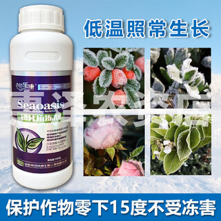 Plant antifreeze liquid antifreeze for fruit trees, vegetables, flowers and trees, general protection against cold and low temperature thawing damage 500g (full box of 20 bottles)