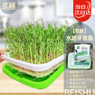 Beishu hydroponic pea vegetable seeds, sprouts, sprouts, seedling trays, soilless cultivation, hydroponic pea seedlings package