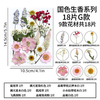 Pupan natural glue dried flower embossed diy material package plant specimen children's bookmark face decoration real flower national color and fragrance series g model