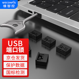 Weizhikong enterprise usb port data usb security lock usb lock sealing plug usb safety plug usb dustproof plug black (100 pieces + 2 tools) removable