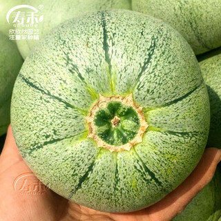 Shouhe xinjiang hami melon seeds southern and northern early maturing super sweet xiangfei reticulated honeydew melon tokyo crispy treasure melon seeds 2g